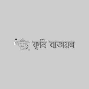 বারি বেল-১